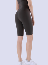 Load image into Gallery viewer, Ultra Lush Bikers 9" in Charcoal